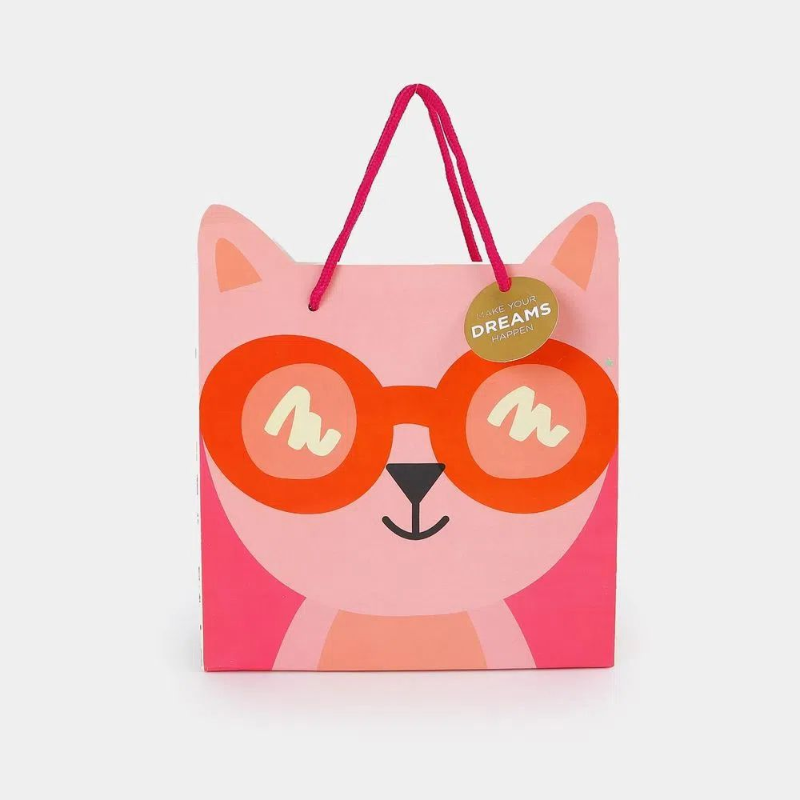 5 How Custom Packaging Is Winning Over Pet Store Customers